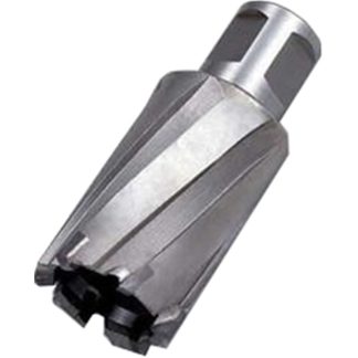 WS ONE TOUCH TCT BROACH CUTTER 35L